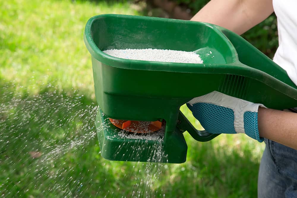 Why Homeowners Love Our Weed Control and Fertilizing Program in Rosemount, MN